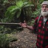Meet the kiwi who&#8217;s spent over 30 years reforesting a corner of New Zealand