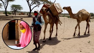 The Mobile Camel Library in Ethiopia Takes Remote Learning To New Levels ??
