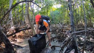 South Florida man picks up seven tons of trash from mangroves in 100 days