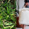 Everybody is going bananas over these bags made from&#8230; banana plants