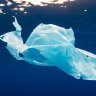 Study finds 30% drop in plastic bags littering European seabed