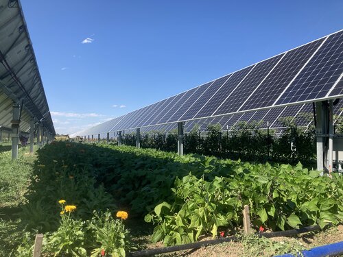 When Kominek approached Boulder County regulators about putting up solar panels, they initially told him no, his land was designated as historic farmland. 
