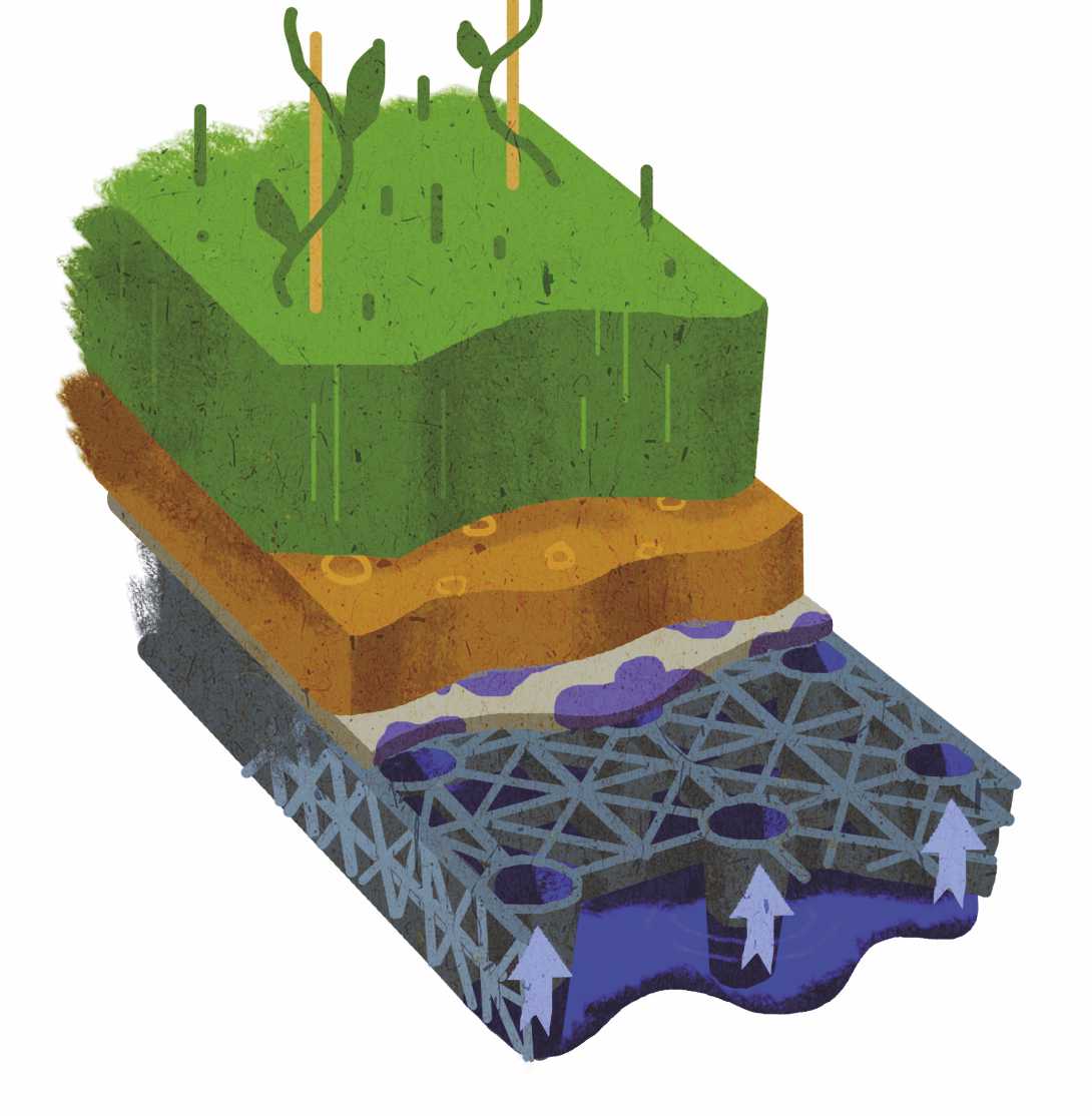 Suelo/compost, sustrato medio orgánico, membrana filtrante, sistema de drenaje.