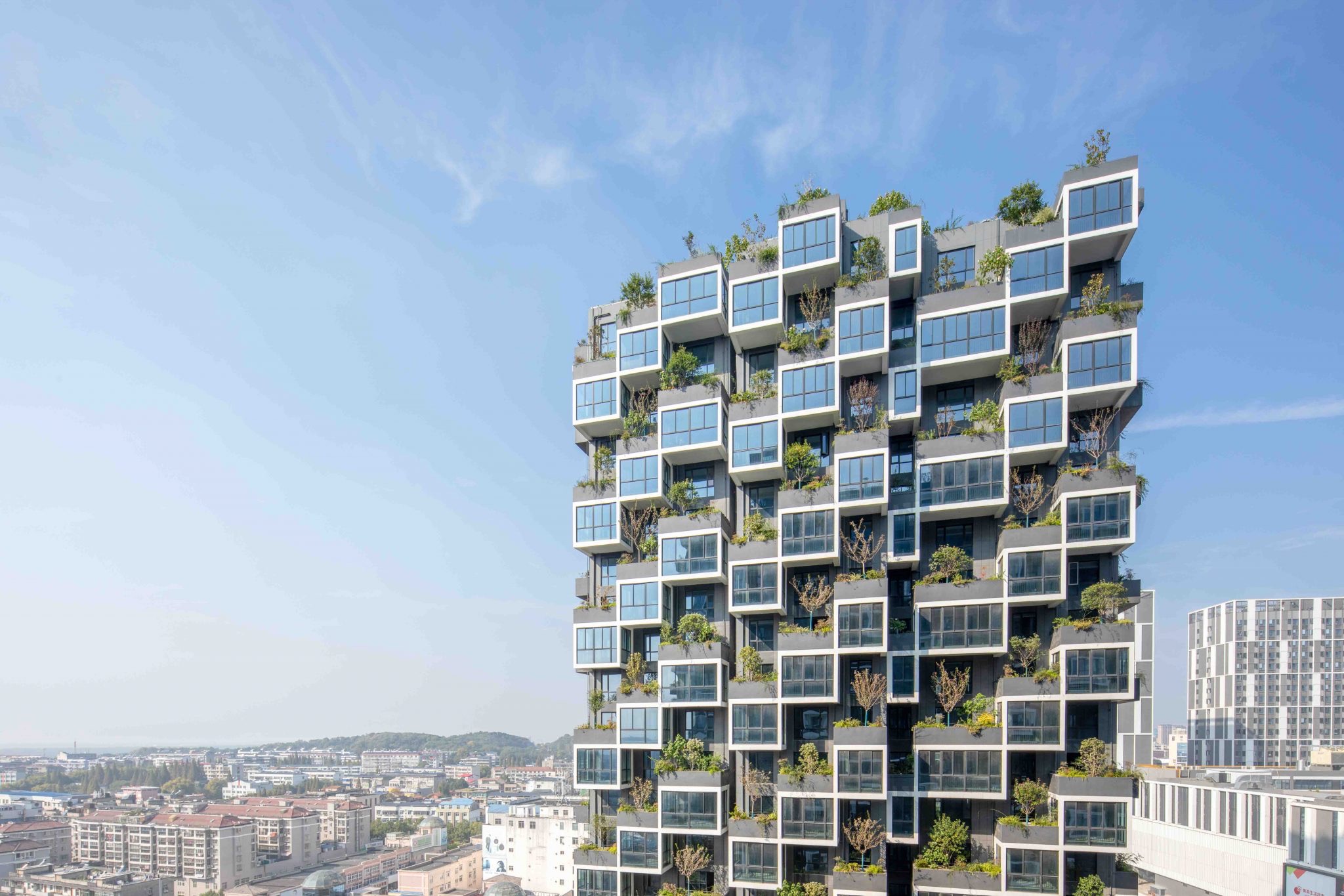 The irregular arrangement of the balconies allows the plants to develop freely in height and the foliage to fit perfectly into the façade design.