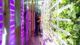 Agricool is transforming containers so you can grow food where you live &#8211; even the city centre!