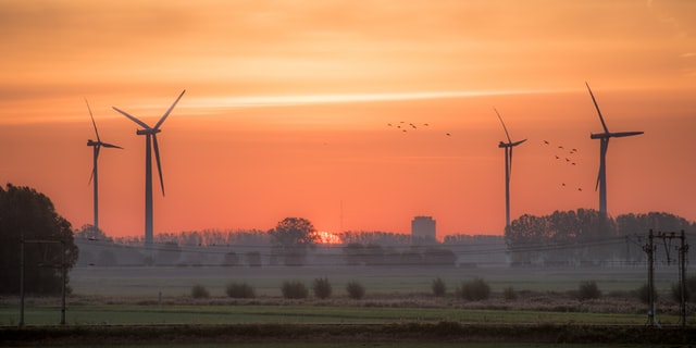 All reputable international organisations arrive at similar conclusions: compared with other high-rise structures or other types of energy generation, the mortality rate for birds from wind turbines is much lower. Studies show that many more birds die colliding with cars and buildings than die in turbine blades.