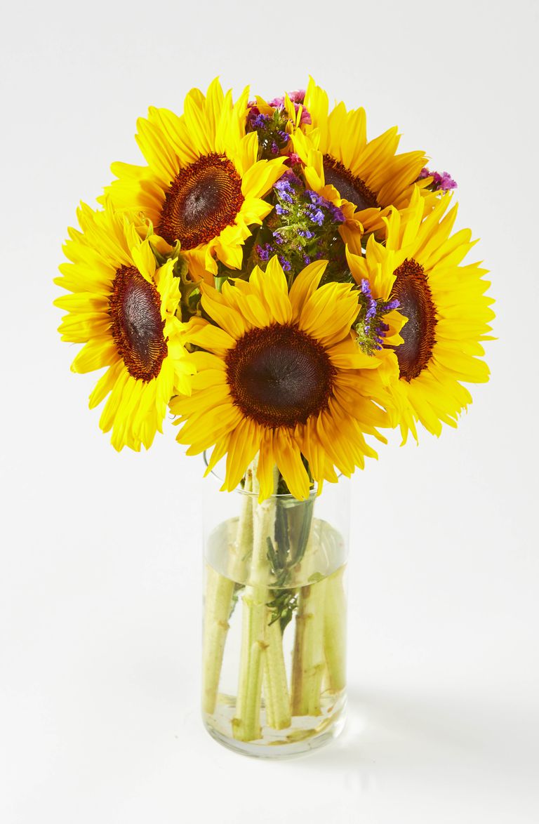 Thanks to the colourful mix of yellow and purple, these vibrant blooms are just as attractive to look at as their taller counterparts.