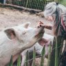 Special bonds &#8211; the friendship between Eefje the Pig and Margarit the Person will warm your heart