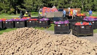 Washington Man Rescues more than 1000 tonnes of Crops Going to Waste and Delivers Them to Food Banks