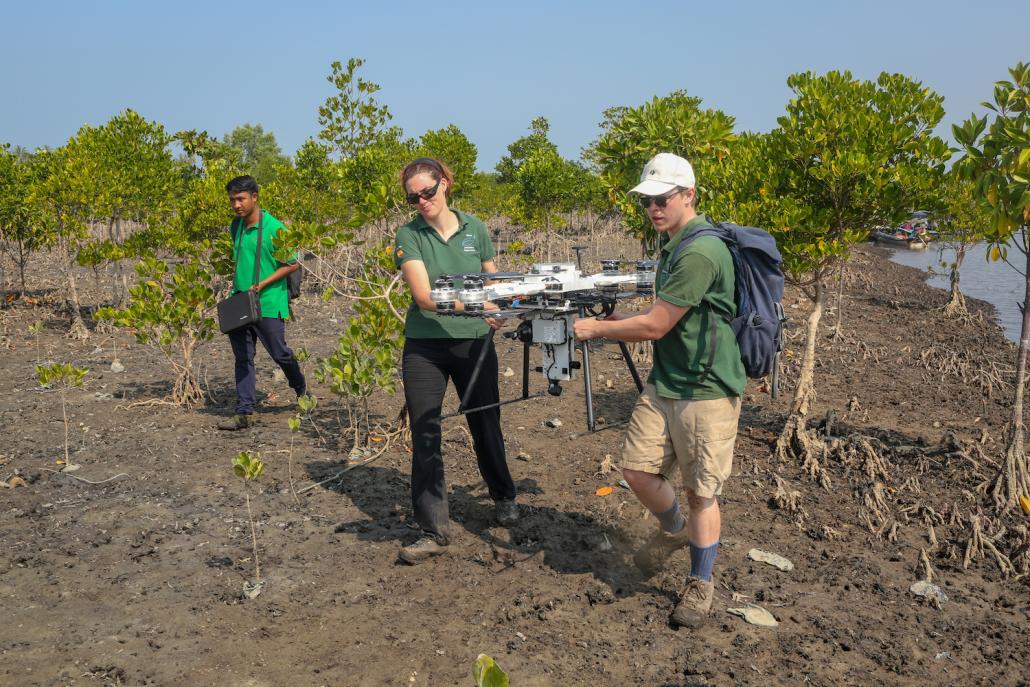 The specially designed drone, which fires seedpods into the soil at high speed, takes only an hour of flight time to plant more than 2,000 mangroves in an area covering about 1.25 acres (0.5 hectares). It would take a worker a day to plant that many seeds.