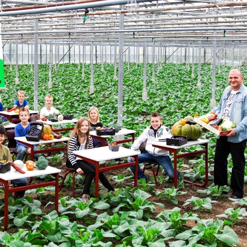The greenhouse is the hub of the initiative. This is where volunteers come together, people work, learn and enjoy themselves and it is all about being together. The fresh fruit and vegetables are offered in the webshop, our own shop in the greenhouse, in the so-called Farmshops and in work fruit to be delivered to companies on request.