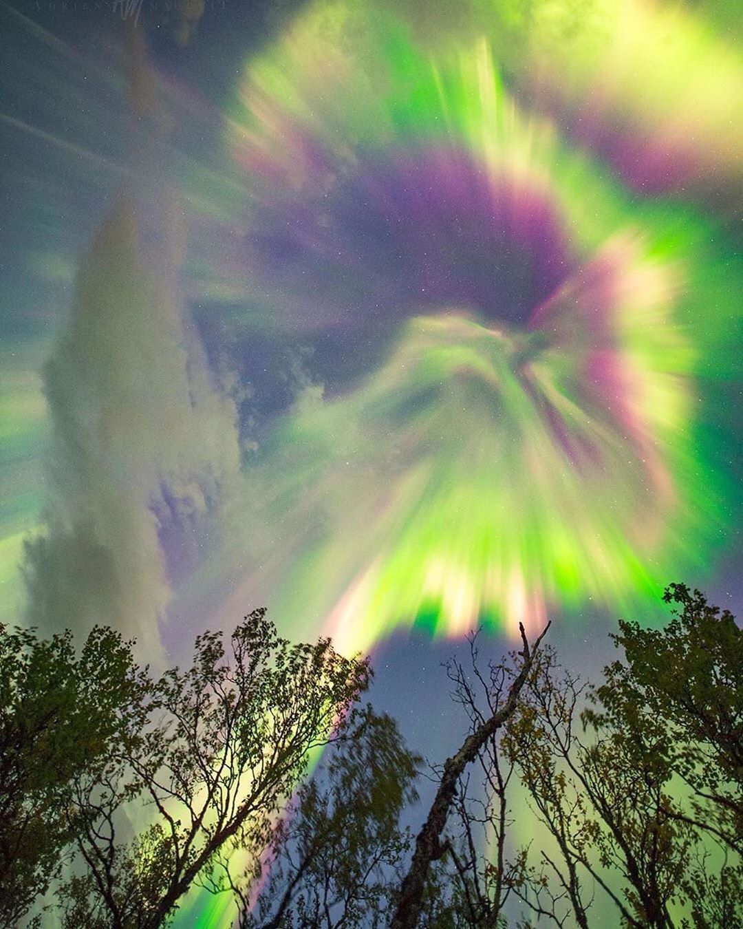 La Aurora es un increíble espectáculo de luces provocado por las colisiones entre las partículas cargadas eléctricamente liberadas por el sol que entran en la atmósfera terrestre y chocan con gases como el oxígeno y el nitrógeno. Las luces se ven alrededor de los polos magnéticos de los hemisferios norte y sur.