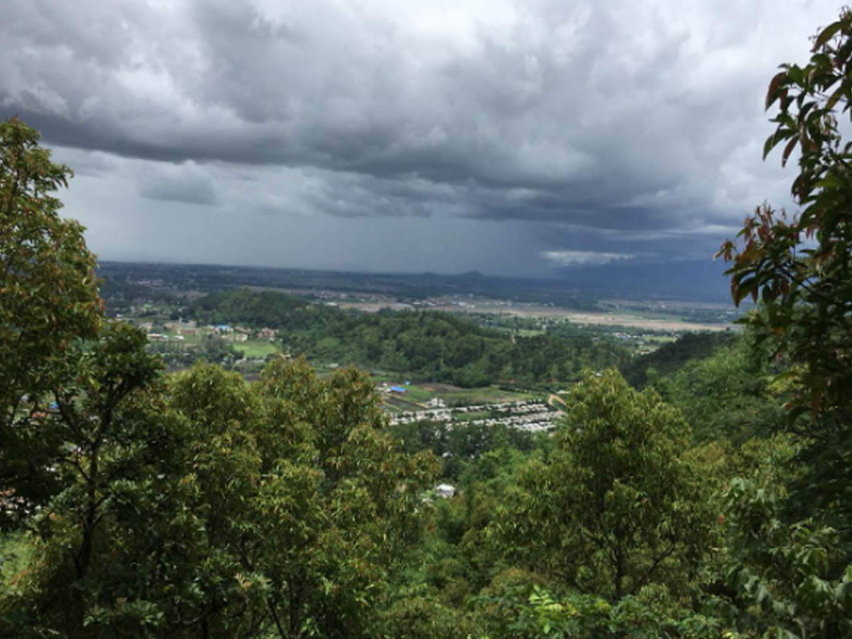 As a child, Loiya often visited the lush green Koubru peak in Senapati district, Manipur. But in 2000, after finishing college, he went back and couldn't believe his eyes -- what was once a lush green peak, was now devastated.