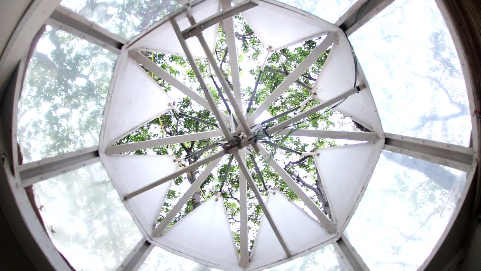 The design is such that when a branch moves with wind, the walls also move.”Engineer builds beautiful four-storey house on mango tree without disrupting its growth.