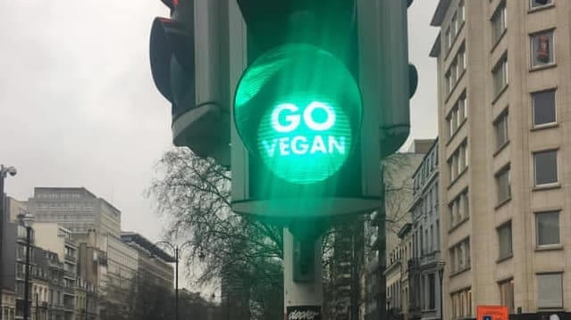 In a Facebook post, animal rights activist and vegan street artist Misteruncertain took credit for the lights. “Nice to see my efforts spreading far and wide. So many people spend their time living halfhearted and disinterested in others. It takes courage to be altruistic in a society that is self-centered and to be compassionate in a world that is egotistical,” he wrote.