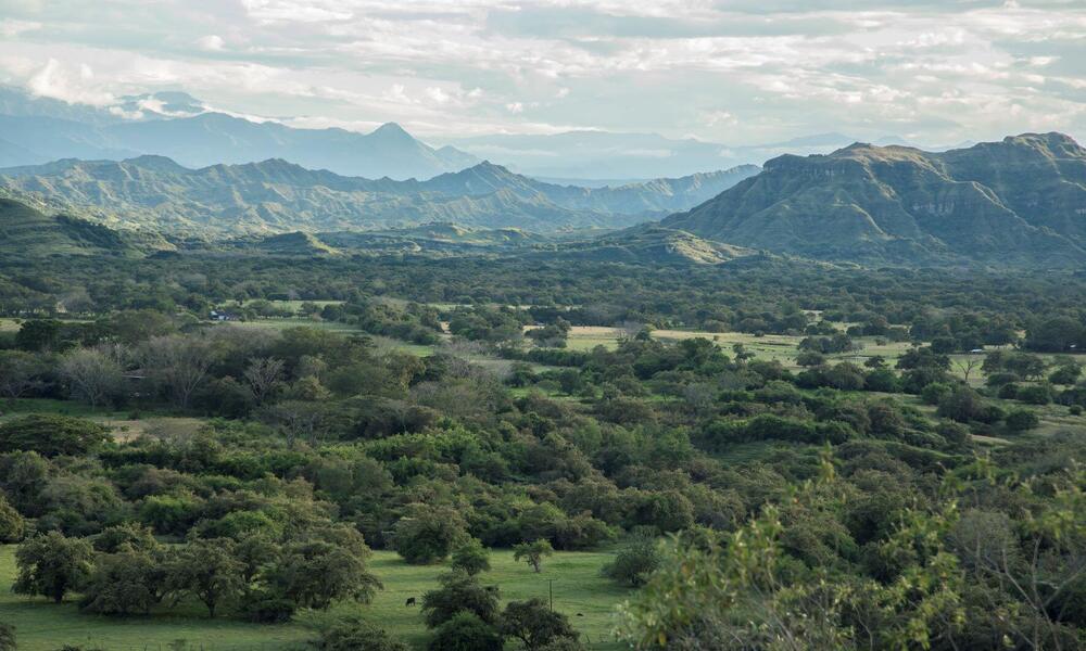 Muchas áreas que han sido administradas por las más de 90 comunidades indígenas de Colombia durante milenios proporcionan una abundancia de recursos naturales.