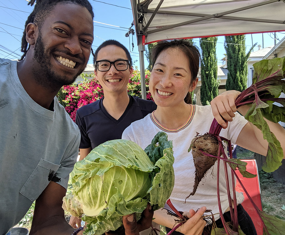 Hargins is the founder of Crop Swap LA, which is determined to grow food on unused spaces, creating green jobs, independent economies, and nutrient-dense food.