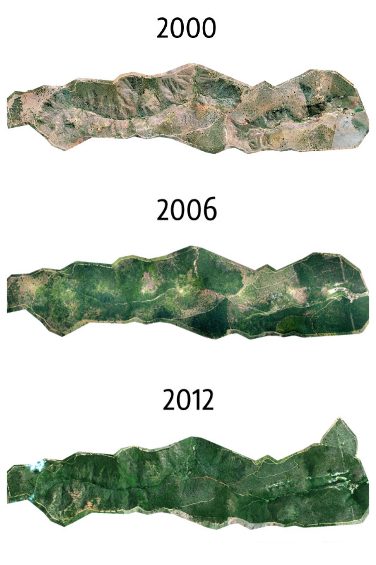 La granja estaba completamente devastada cuando en 1998, recibió el título de Reserva Natural Privada (PNHR). El rancho original poseía al rededor de 1.740 acres. El primer proceso de reforestación vino en diciembre de 1999, y desde entonces, año tras año, con el apoyo de importantes asociaciones, ha sido posible plantar mas de dos millones de semillas de más de 290 especies de árboles diferentes, recreando un bosque de especies arbóreas y arbustos originarios de las zonas atlánticas.