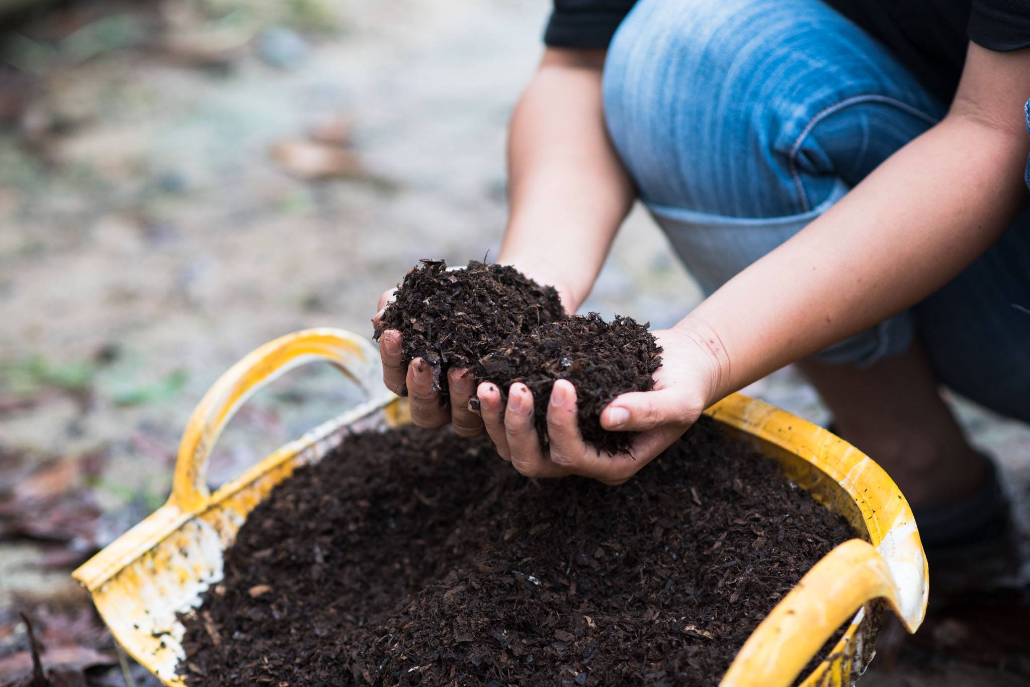 The long-term benefits of compost include the improvement of soil properties physically (structurally), chemically (nutritionally), and biologically. Organic compost also suppresses plant diseases, binds contaminants, degrades compounds, provides wetland restoration, and controls erosion and weeds.