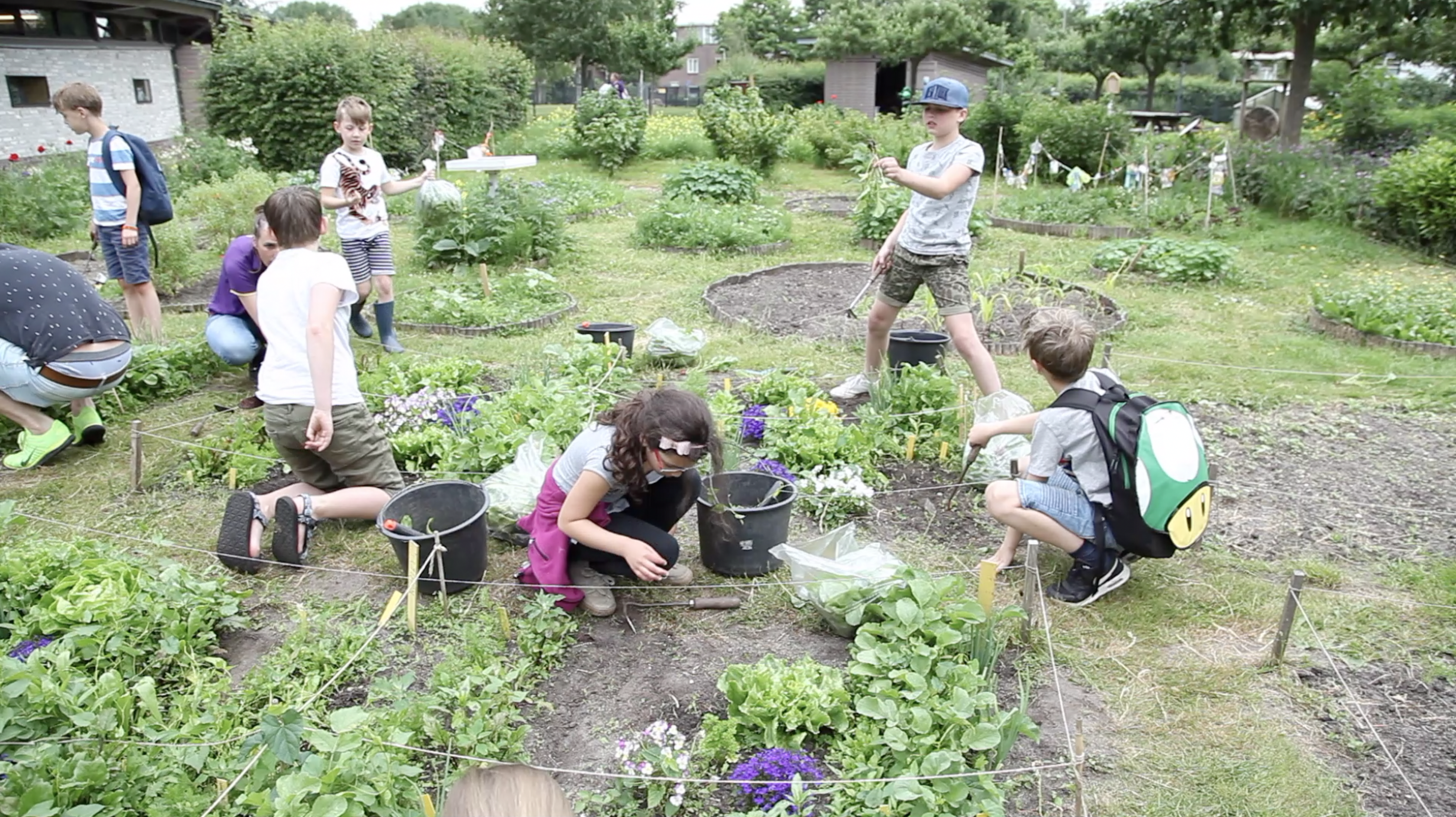 Ze zijn buiten en verbouwen hun eigen groenten: deze kinderen komen weer in contact met de natuur.