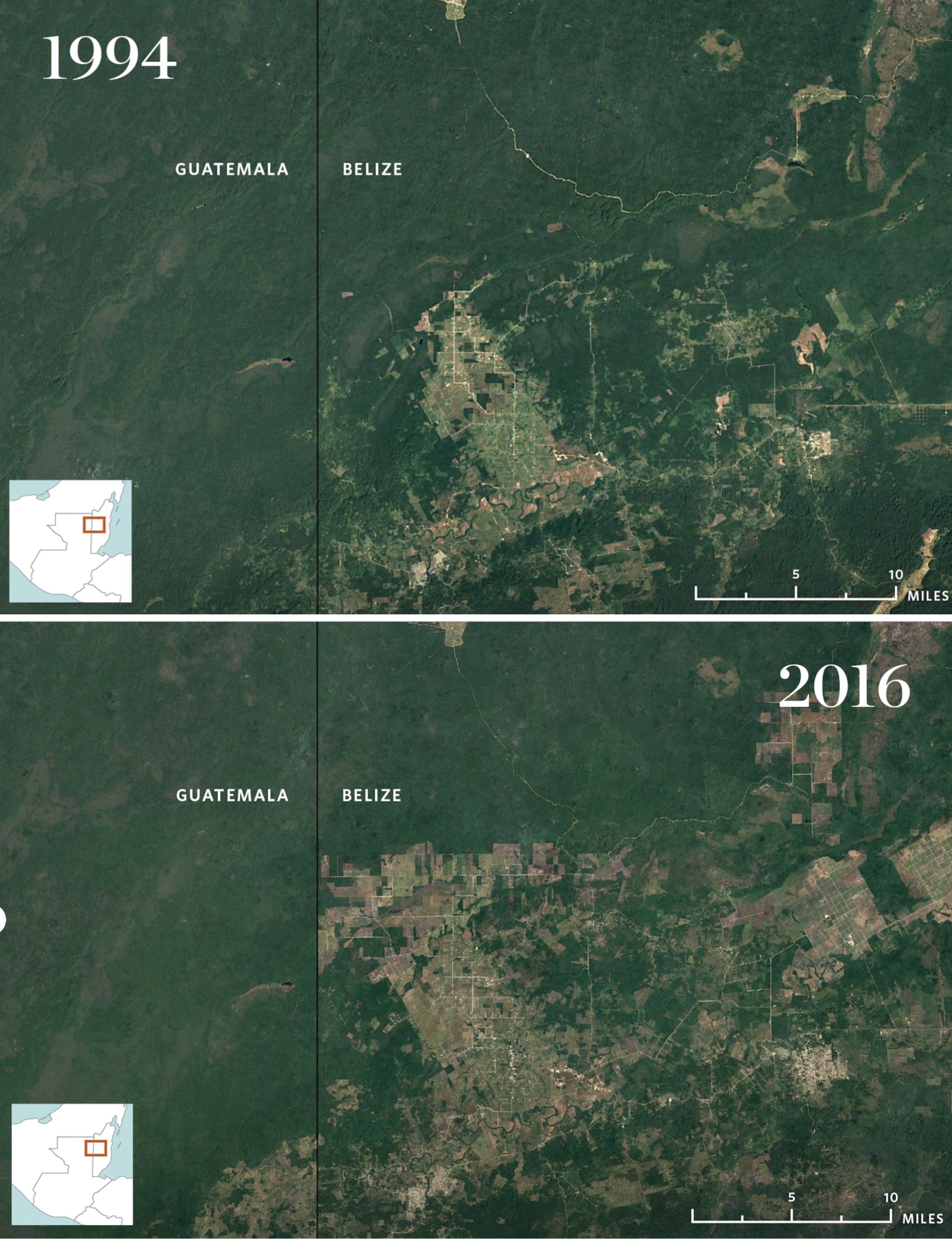 Alrededor de la Selva Maya, los datos de deforestación han superado la media nacional en cuatro veces. Usa el ratón para ver un ejemplo de cómo el desarrollo ha invadido el oeste de Belice desde 1994 (izquierda) hasta 2016 (derecha) © Google Earth, Image Landsat/Copernicus