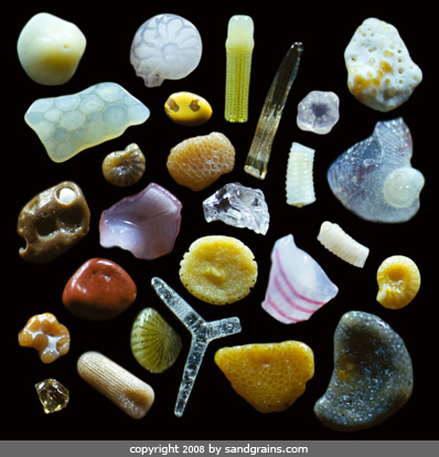 This image is a handful of sand grains selected from a beach in Maui and are arranged onto a black background. The colors and shapes of these tiny grains of sand are surprisingly different and astonishingly beautiful, each with it’s own individual in character.
