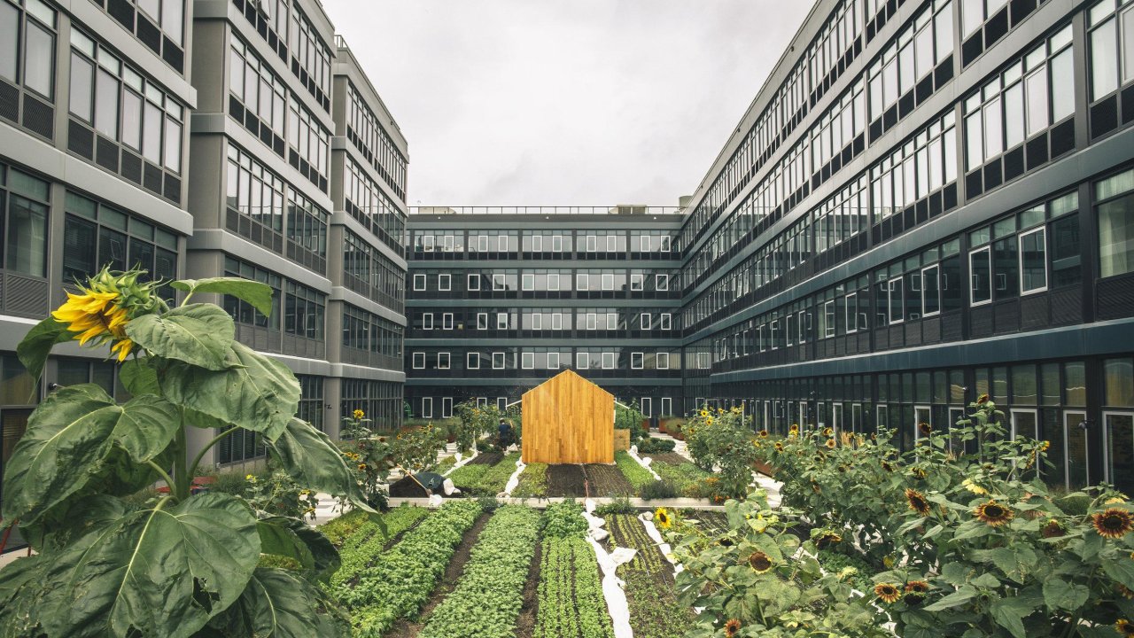 Check out the cool NYC apartment complex with its very own 5000 m² urban farm