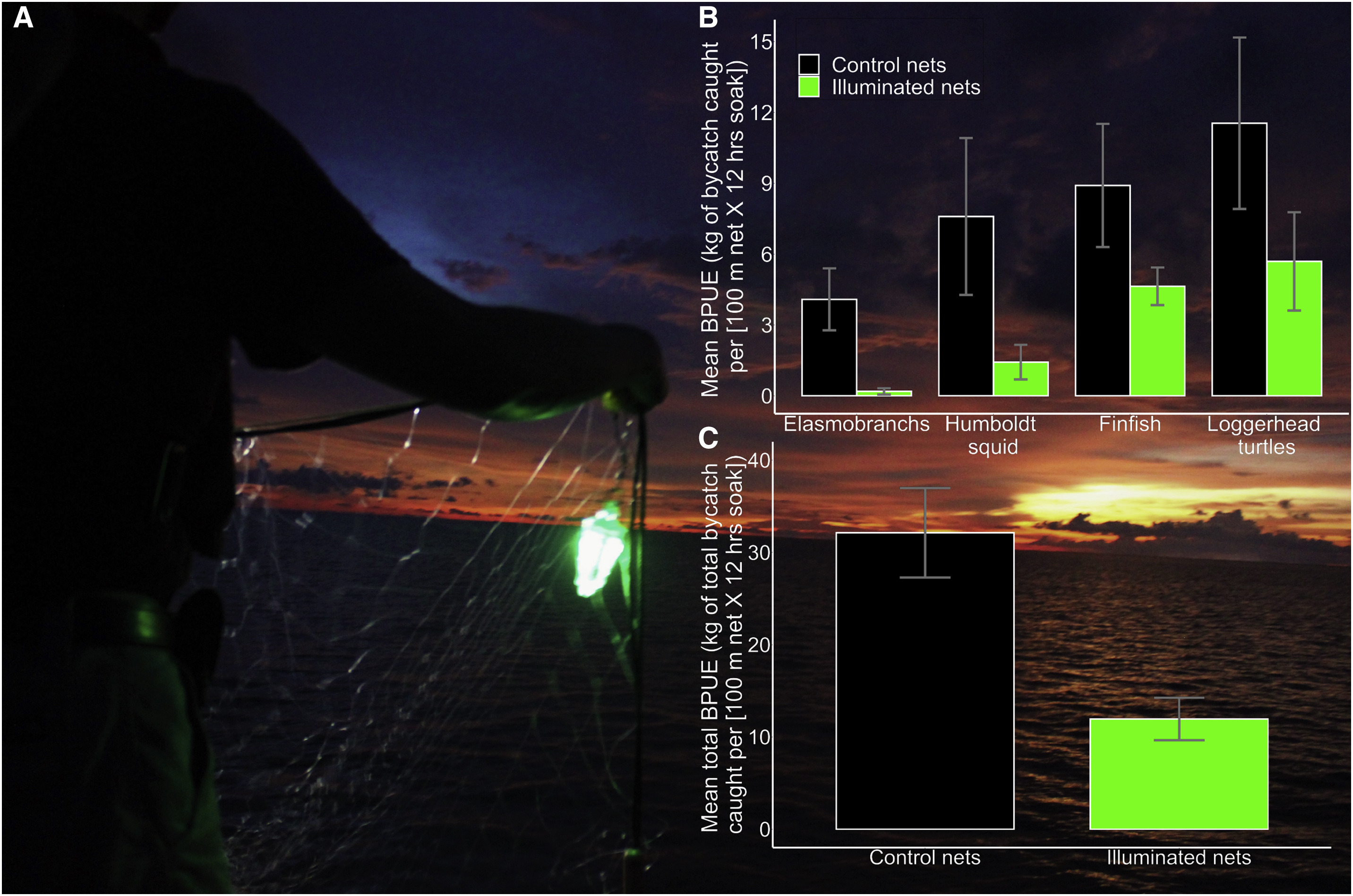 (a) Percent change represents the differences in mean BPUE, CPUE, MVPUE, and haulback time from control to illuminated nets. (b) p values represent the differences in BPUE, CPUE, MVPUE, and haulback time between control and illuminated nets using a Wilcoxon signed-rank test paired by net, with significant differences indicated with an asterisk. (c) BPUE = number of loggerhead turtles caught/([net length/100 m] × [net soak time/12 h])