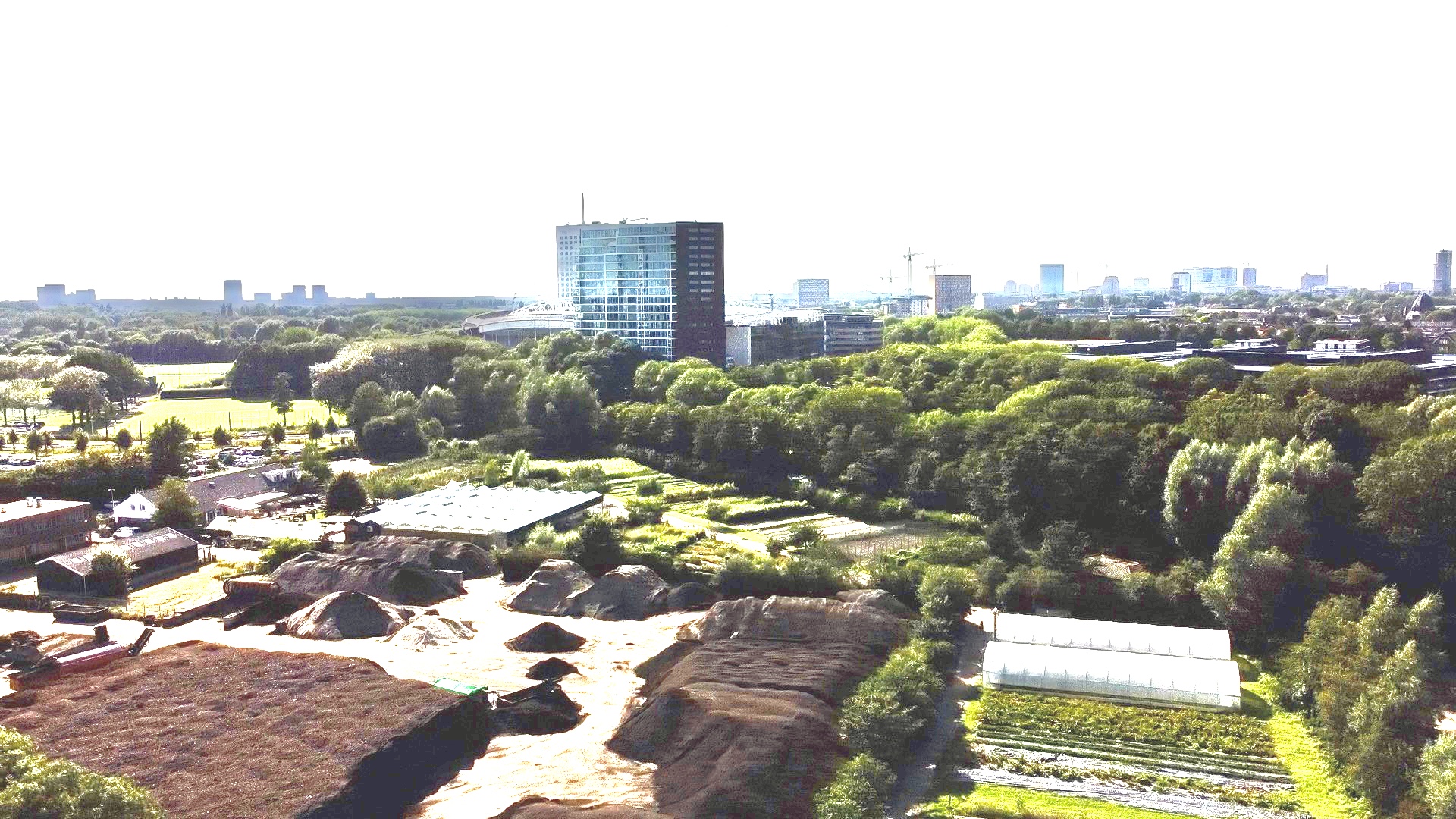 ¿Estás de acuerdo en que las ciudades necesitan espacios verdes como el Moestuin?