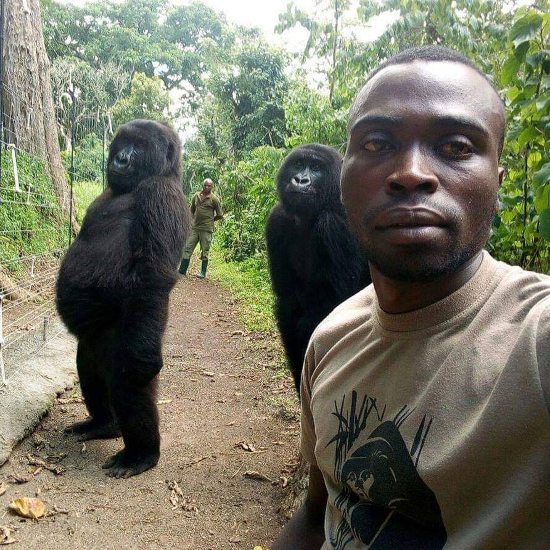 Senkwekwe center at Virunga National Park received dozens of messages about the photo. YES, it's real! Apparently those gorilla gals are always acting cheeky so this was the perfect shot of their true personalities!
