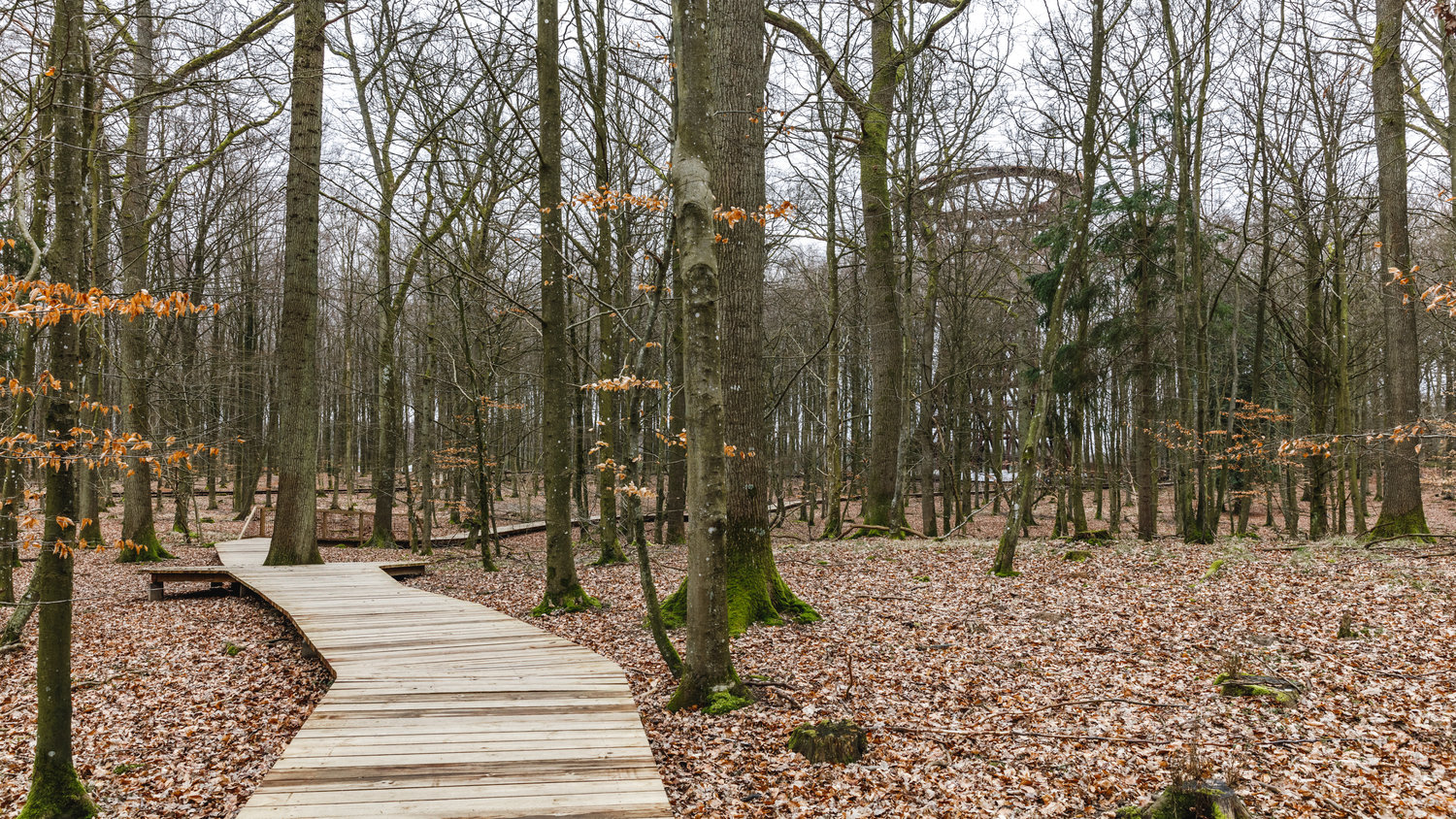 Het wandelpad ligt in het beschermde woud rondom het klooster van Gisselfeld. Om het ongerepte natuurgebied zo min mogelijk te verstoren, hebben de makers, het Deense architectenbureau EFFEKT, een wandelpad ontworpen dat net boven de bosgrond zweeft.