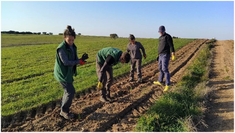 Life Terra planted trees back in 2020 and Spring 2021. Now, during this planting season, we are also collaborating with them in order to reforest their Novo-Montado plot with 29,000 trees.