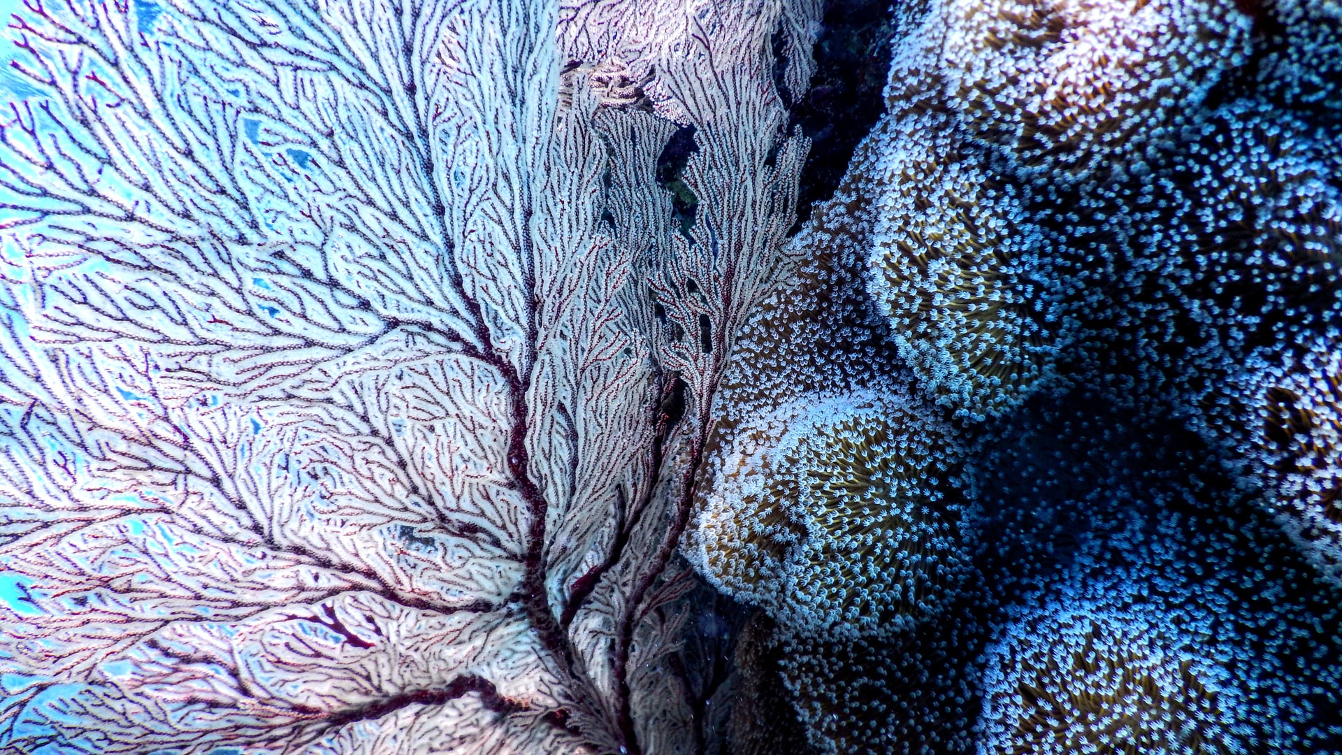 specifically looking for reef-conscious sunscreens or wearing clothing that offers SPF protection.