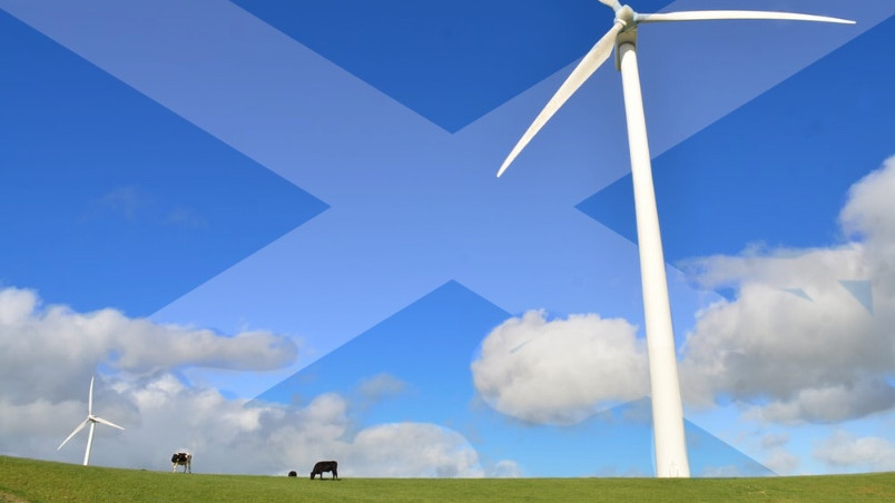 Wind turbines in Scotland generated 9,831,320 megawatt hours between January and June 2019, WWF Scotland said Monday.