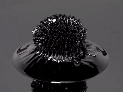 In 1963, the NASA engineer Steve Papell came up with a way to make rocket fuel magnetic so that it could move around in zero gravity during the Apollo missions. In the process, he wound up creating the first ferrofluid, essentially a magnetic liquid.