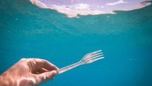 Europe&#8217;s ban on 10 single-use plastic products now in effect , but more action is needed!