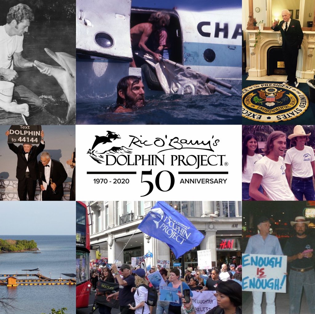 Rick O’Barry’s Dolphin Project is the world's leading charity dedicated to the Welfare & Protection of Dolphins. Since Earth Day 1970. Here are 50 years’ highlights.