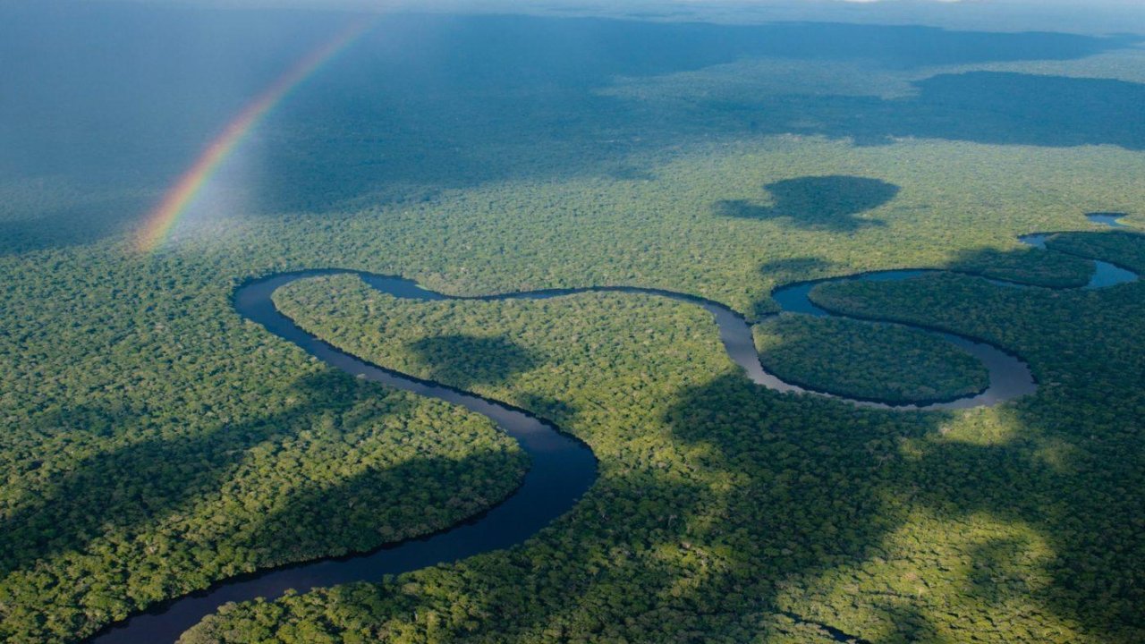 World&#8217;s 2nd largest rainforest no longer under threat thanks to conservation efforts