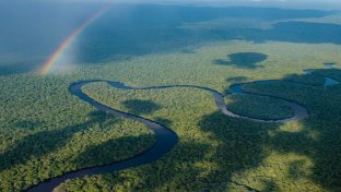 World&#8217;s 2nd largest rainforest no longer under threat thanks to conservation efforts