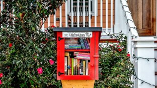 Little Free Libraries are making a BIG difference, spreading the joy of reading