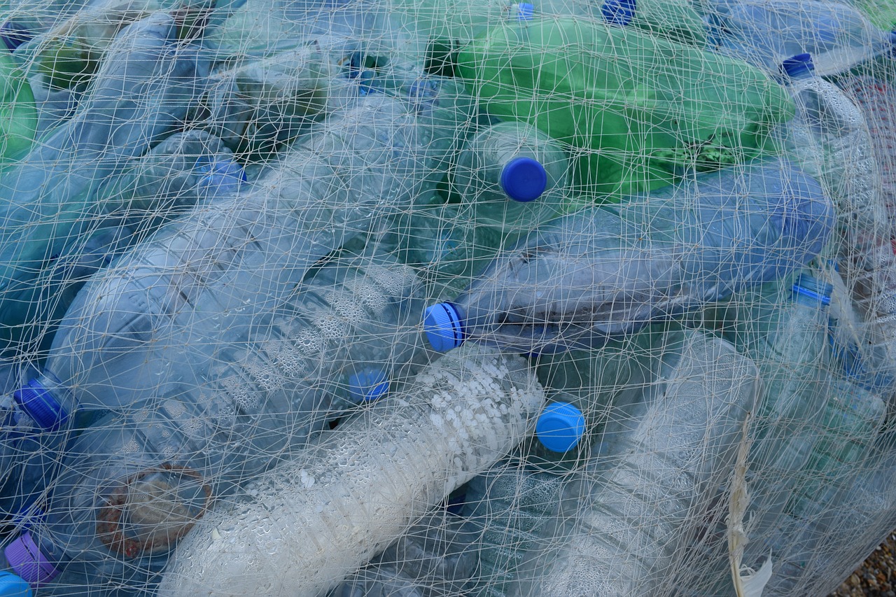 Hemp plastic is biodegradable. It is also non-toxic. Instead of filling up our seas with deadly petrochemical plastics, we could create sustainable initiatives to recycle hemp plastic safely.