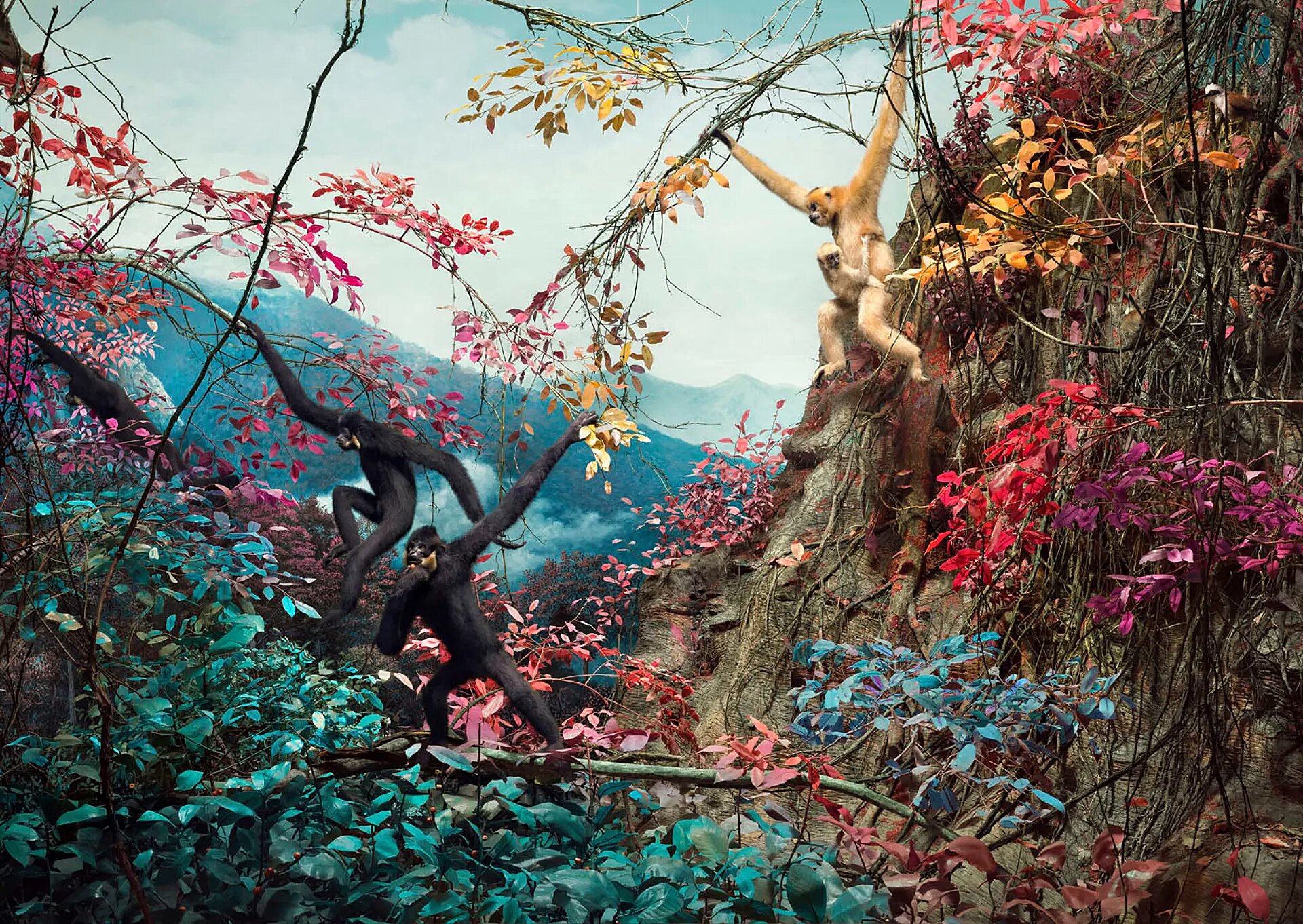 ‘In the evolutionary blink of an eye, humans have come to dominate the planet and our perception is that wildlife is something other, apart from humanity. The images in this series reflect this by using natural history specimens and dioramas, and adding layers and altering and exaggerating colours to highlight the artificial nature of what we are seeing.’ Jim Naughten is an artist exploring historical and natural history subject matter using photography, stereoscopy and painting.
