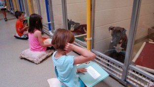 These children are reading to shelter dogs — with surprising benefits for both animal and child