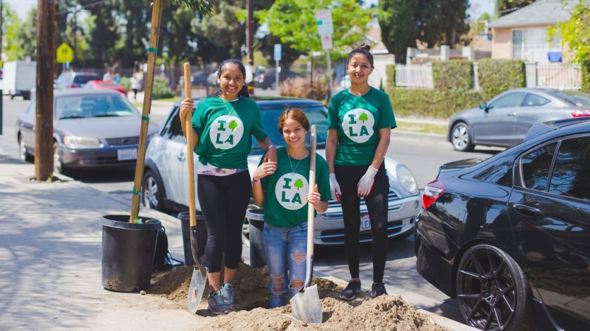 “If you want a street tree in front of your house, all you have to do is sign up and one will appear in a few months; it couldn’t be much easier,” said Elizabeth Skrzat, executive director of City Plants, a public-private partnership funded by the L.A. Department of Water and Power, grants and corporations.