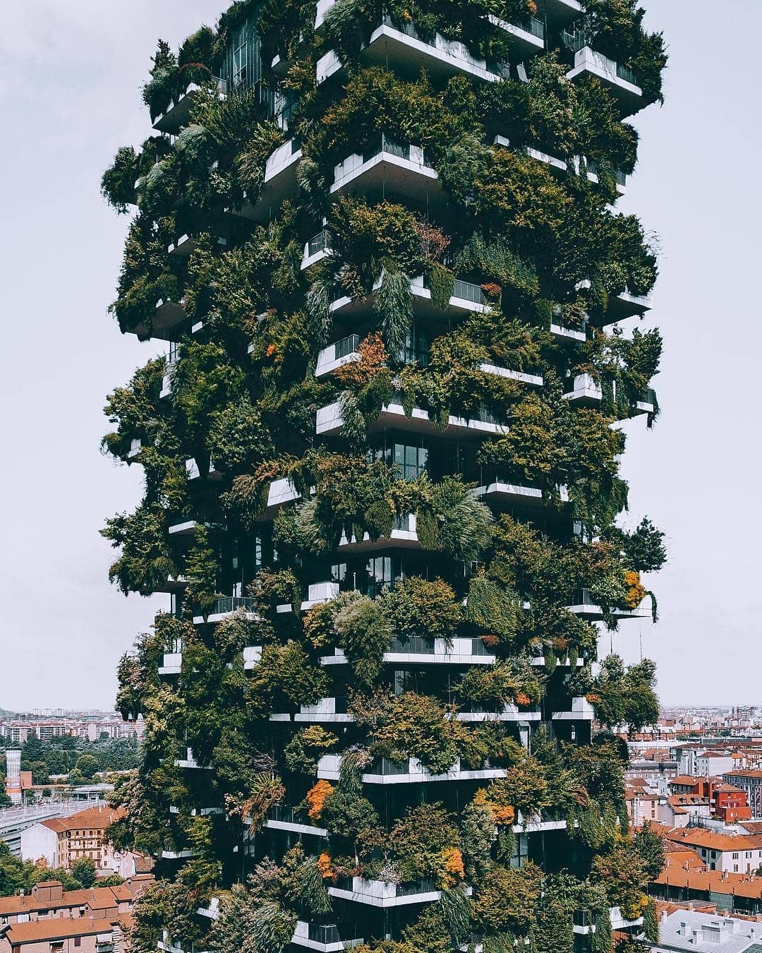 a project for metropolitan reforestation contributing to the regeneration of the environment and urban biodiversity without the implication of expanding the city upon the territory. It is a model of vertical densification of nature within the city that operates in relation to policies for reforestation and naturalisation of large urban and metropolitan borders.