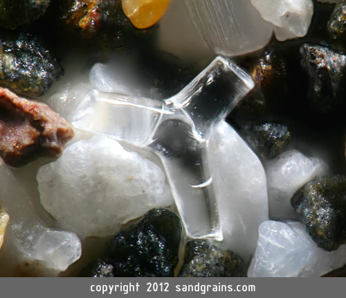 Sand from Hamoa Beach, Maui, Hawaii, contains a fragment of a sponge spicule that forms the internal skeleton of a glassy sponge (magnified 100 times).