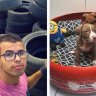 Artist transforms old tyres into the cutest little beds for animals