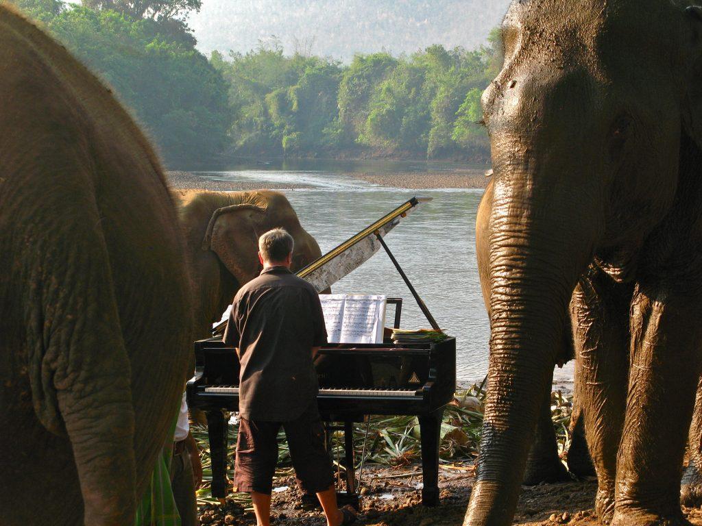 En Elephant's World, un hogar para elefantes rescatados en Tailandia, Barton toca el piano para los animales ciegos y nos muestra que es posible interactuar con ellos de forma muy profunda y conmovedora.