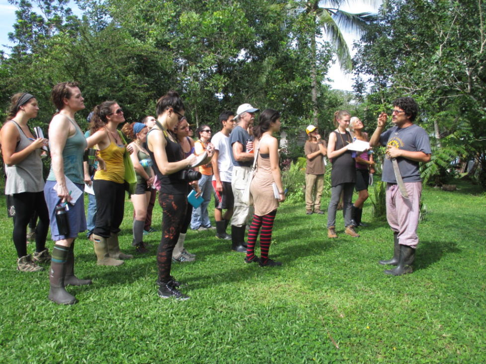 The Punta Mona Center for Sustainability and Education creates experiences through which teachers and students can personally connect with the natural wonders of the Earth. In addition, students are introduced to solutions created to preserve, sustainably develop and foster the regeneration of the tropical rainforests.