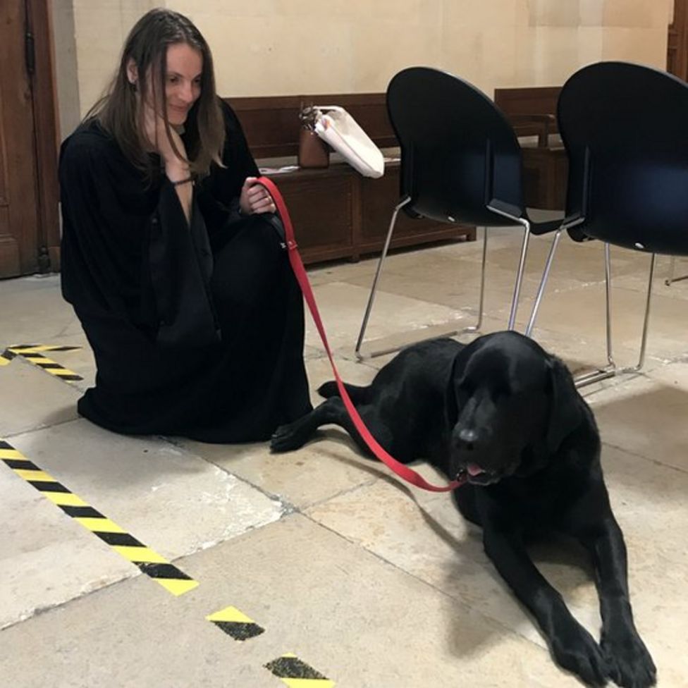 The Labrador has been trained to remain calm with strangers, including young children. He can handle tense, vocal and emotional situations such as cross-examinations, where a tearful rape victim comes face to face with their attacker.